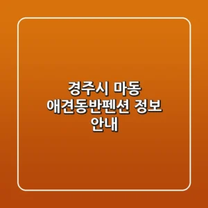 경주시 마동 애견동반펜션 정보 안내