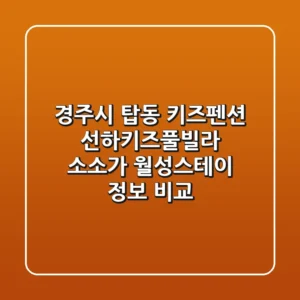 경주시 탑동 키즈펜션: 선하키즈풀빌라, 소소가, 월성스테이 정보 비교