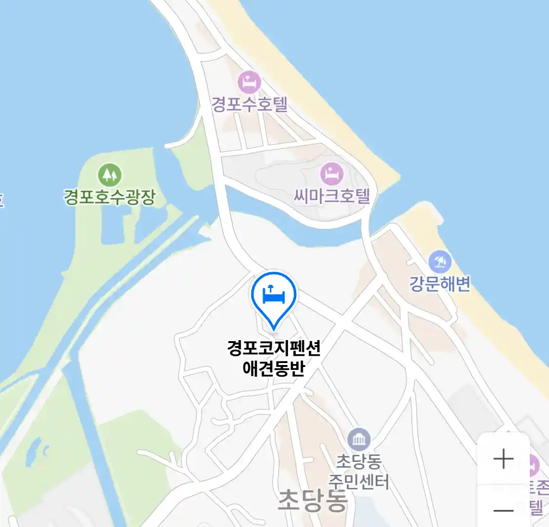 경포코지펜션 애견동반 위치