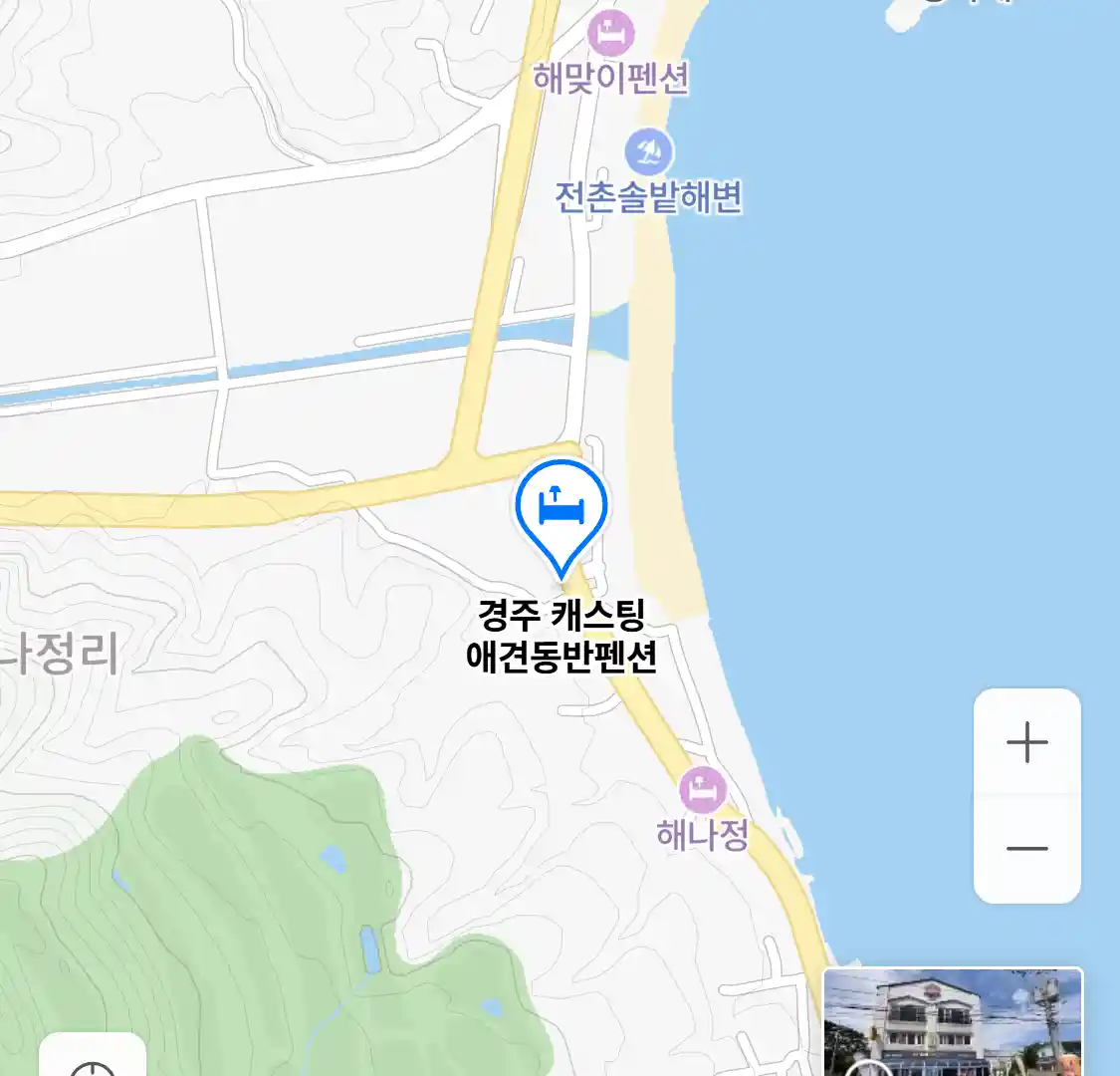 경주 캐스팅 애견동반펜션 위치