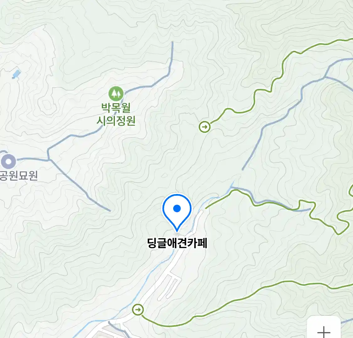 딩글애견카페 위치