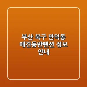 부산 북구 만덕동 애견동반펜션 정보 안내