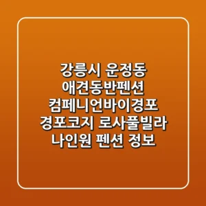 강릉시 운정동 애견동반펜션: 컴페니언바이경포, 경포코지, 로사풀빌라, 나인원 펜션 정보