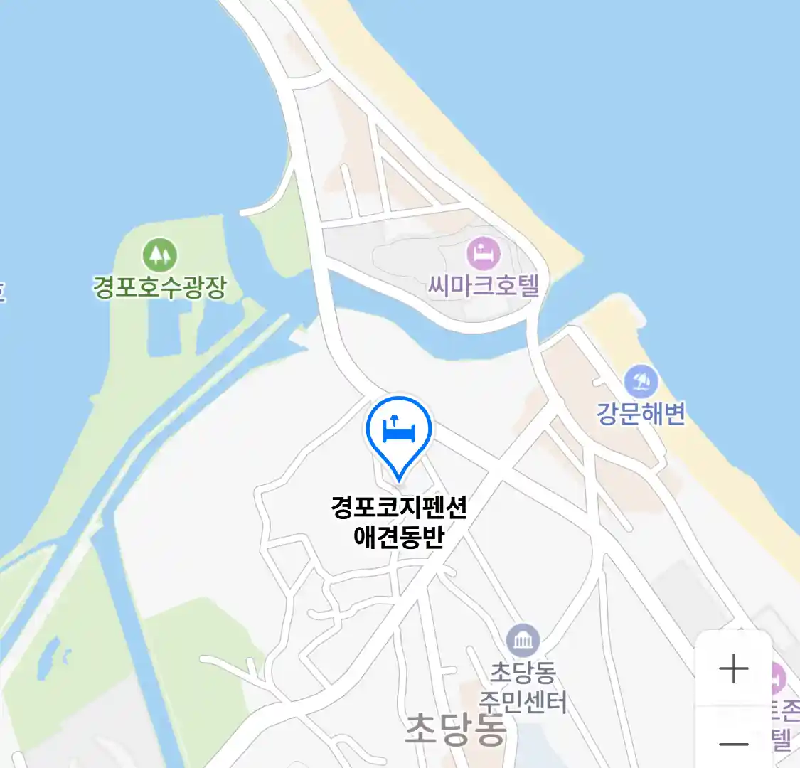 경포코지펜션 애견동반 위치