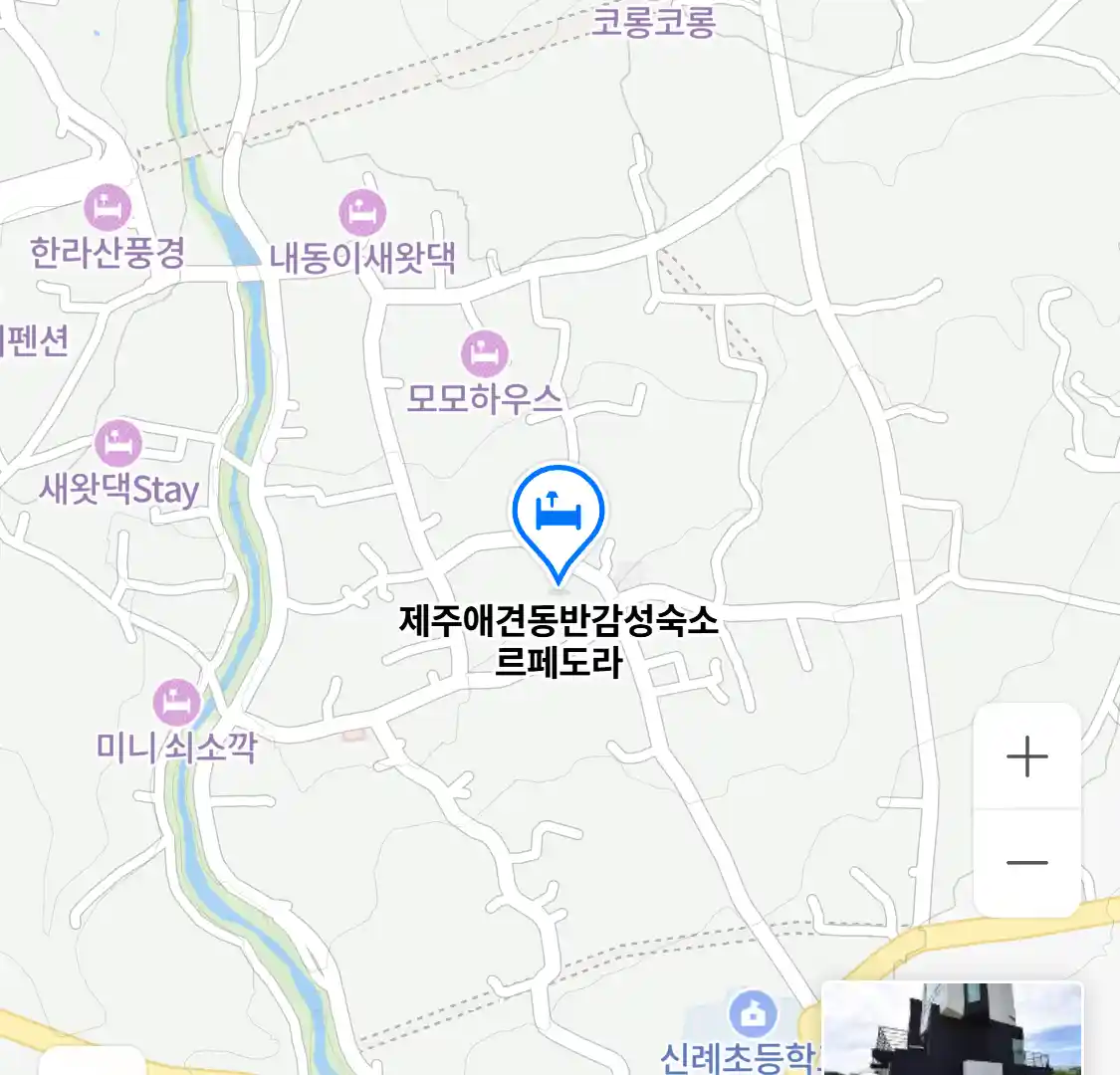 제주애견동반감성숙소 르페도라 위치