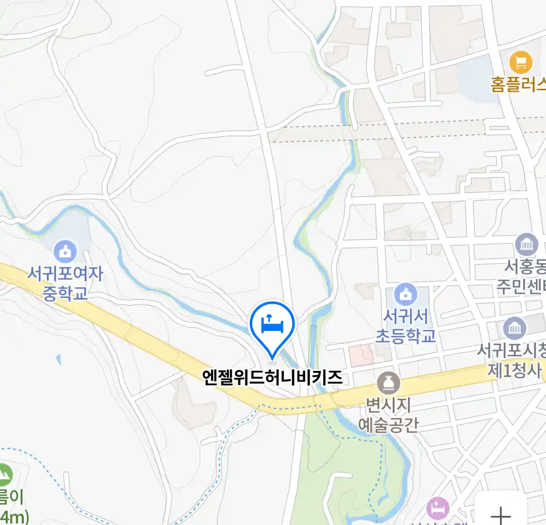 엔젤위드허니비키즈 위치