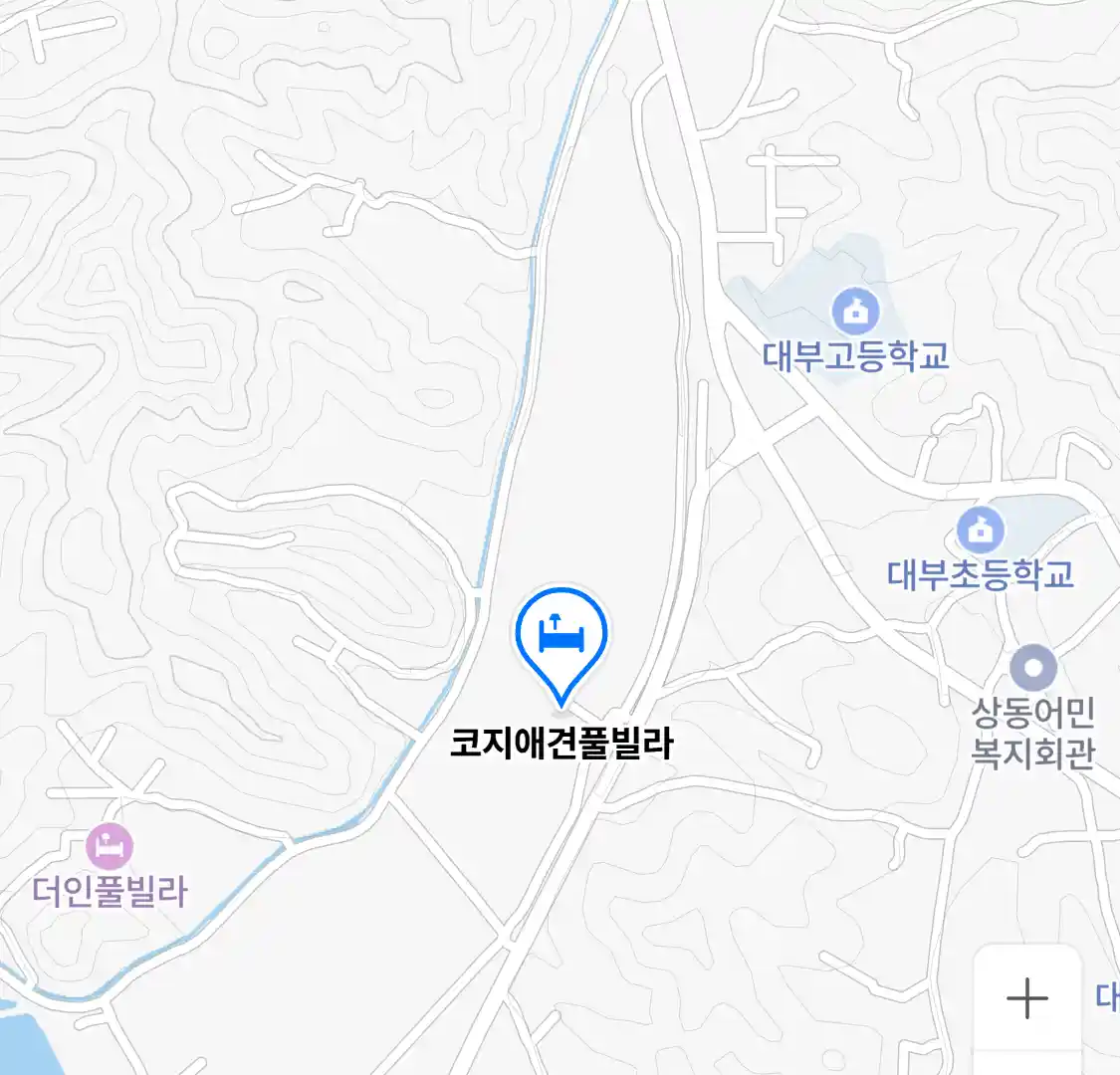 코지애견풀빌라 위치