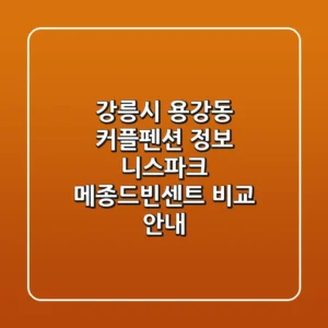 강릉시 용강동 커플펜션 정보: 니스파크, 메종드빈센트 비교 안내