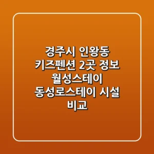 경주시 인왕동 키즈펜션 2곳 정보 - 월성스테이, 동성로스테이 시설 비교