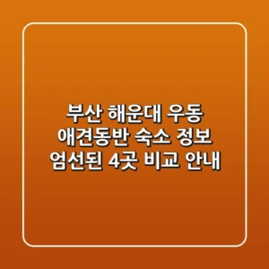 부산 해운대 우동 애견동반 숙소 정보: 엄선된 4곳 비교 안내