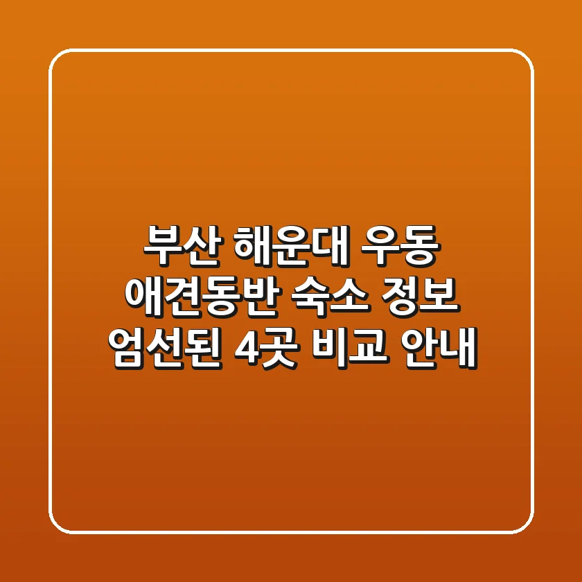 부산 해운대 우동 애견동반 숙소 정보: 엄선된 4곳 비교 안내