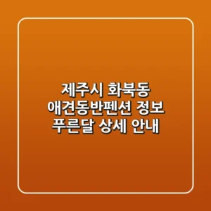 제주시 화북동 애견동반펜션 정보: 푸른달 상세 안내