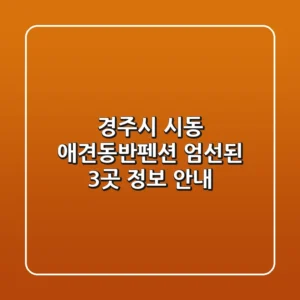 경주시 시동 애견동반펜션: 엄선된 3곳 정보 안내