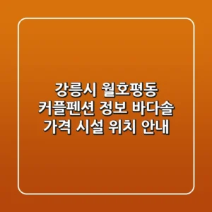 강릉시 월호평동 커플펜션 정보 - 바다솔 (가격, 시설, 위치 안내)