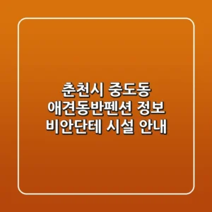 춘천시 중도동 애견동반펜션 정보 - 비안단테 시설 안내