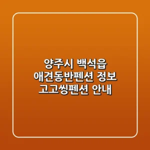 양주시 백석읍 애견동반펜션 정보: 고고씽펜션 안내