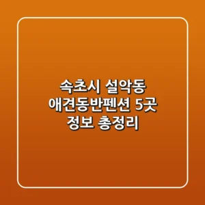 속초시 설악동 애견동반펜션 5곳 정보 총정리