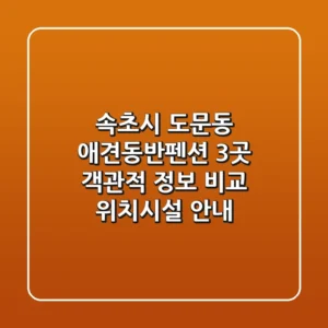 속초시 도문동 애견동반펜션 3곳 객관적 정보 비교 - 위치/시설 안내