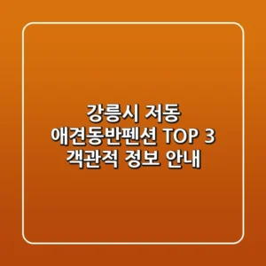 강릉시 저동 애견동반펜션 TOP 3 객관적 정보 안내