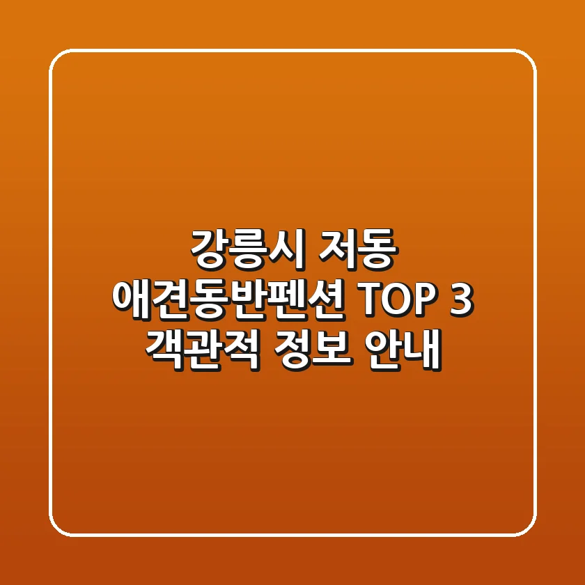 강릉시 저동 애견동반펜션 TOP 3 객관적 정보 안내