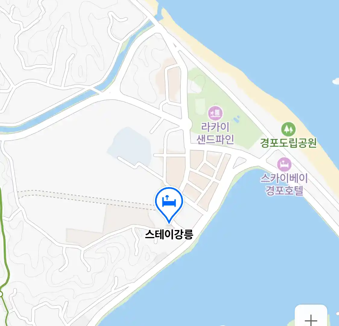 스테이강릉 위치