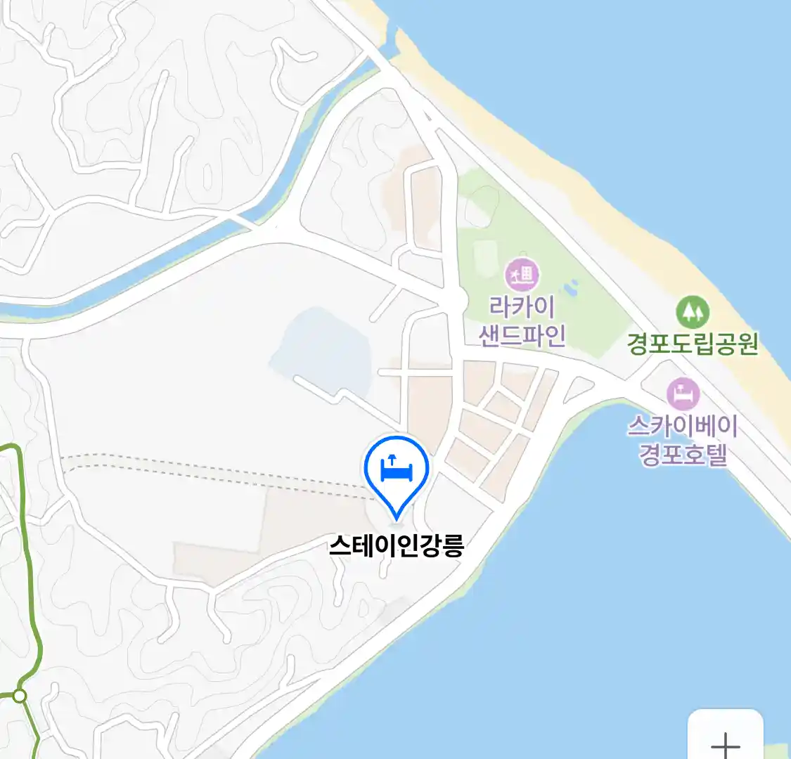 스테이인강릉 위치