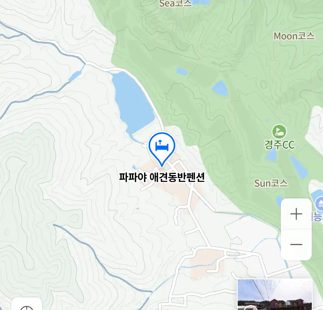 파파야 애견동반펜션 위치