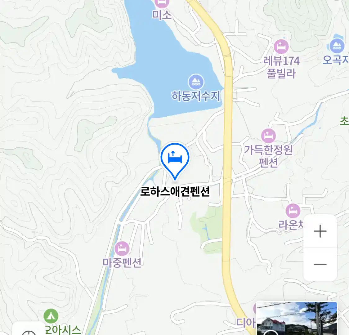 로하스애견펜션 위치