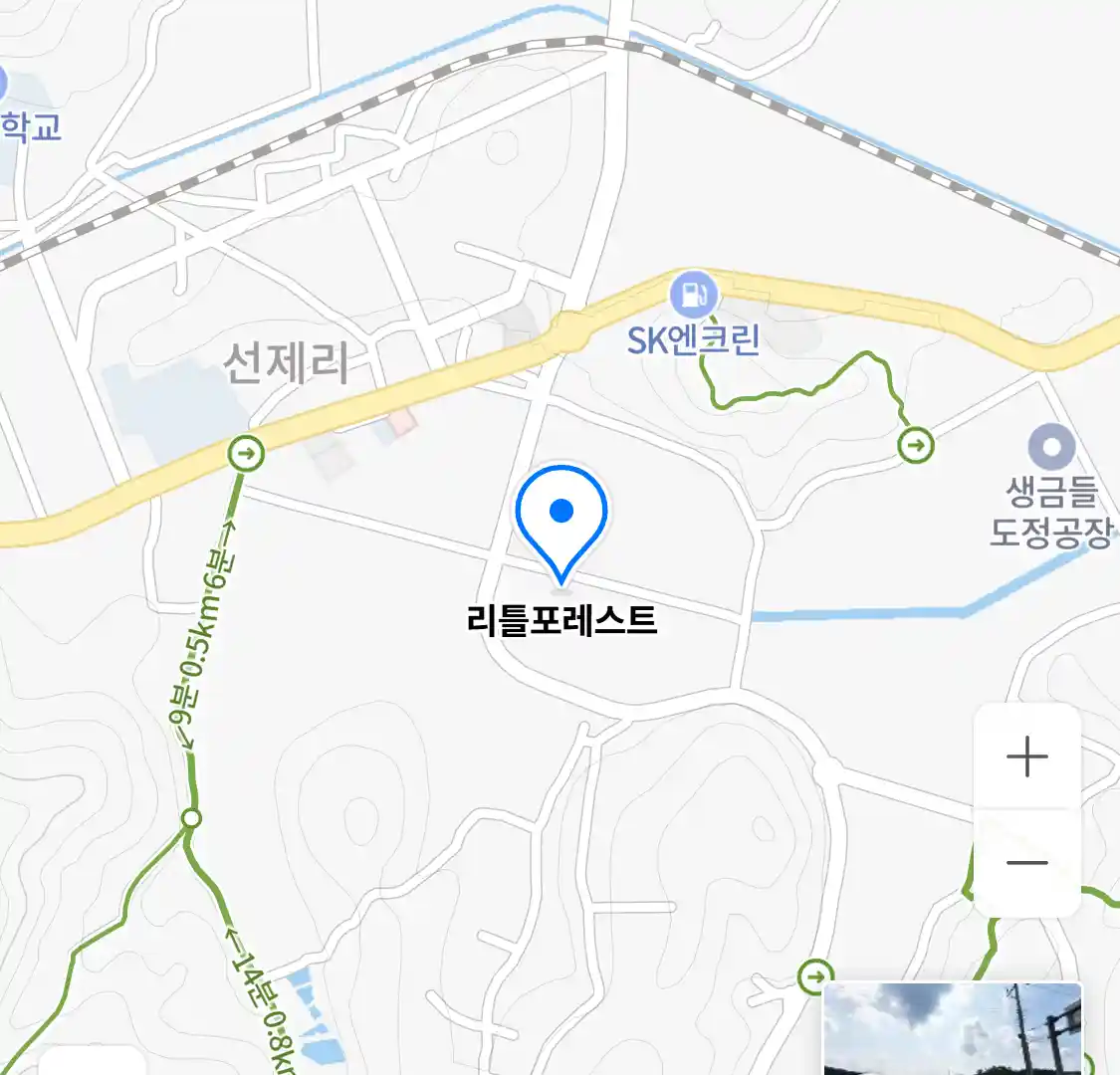 리틀포레스트 위치