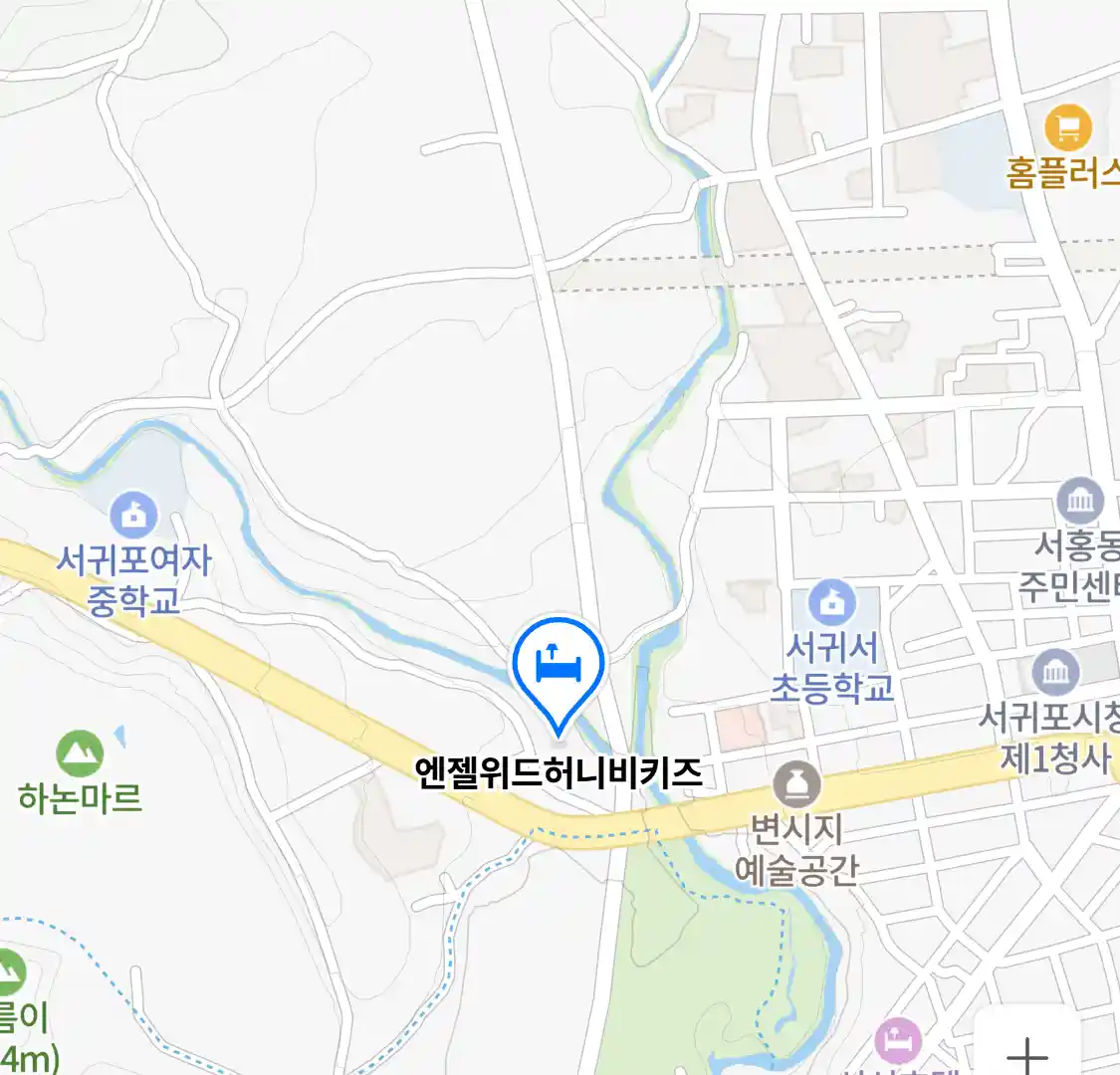 엔젤위드허니비키즈 위치