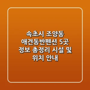 속초시 조양동 애견동반펜션 5곳 정보 총정리 - 시설 및 위치 안내