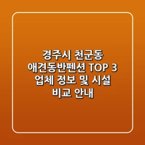 경주시 천군동 애견동반펜션 TOP 3 업체 정보 및 시설 비교 안내