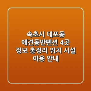 속초시 대포동 애견동반펜션 4곳 정보 총정리 - 위치, 시설, 이용 안내