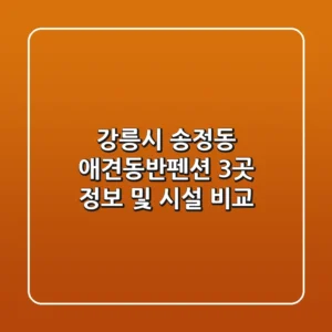 강릉시 송정동 애견동반펜션 3곳 정보 및 시설 비교