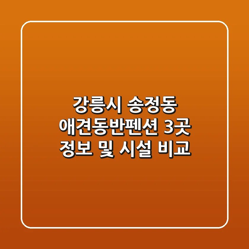 강릉시 송정동 애견동반펜션 3곳 정보 및 시설 비교